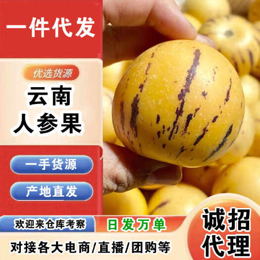 云南人参果一件代发产地直发一手货源对接各大电商平台
