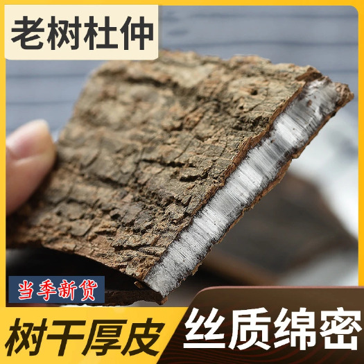 松桃县百年老树杜仲皮中药材批发正品杜仲茶厚皮泡茶煲汤泡酒补腰阳