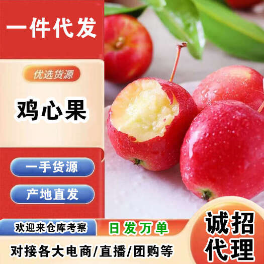 义县东北鸡心果一件代发产地直发一手货源对接各大电商平台