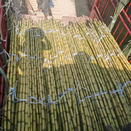 云南特产黄金甘蔗产地现砍脆甜新鲜水果当季批发黄皮甘蔗自产自销