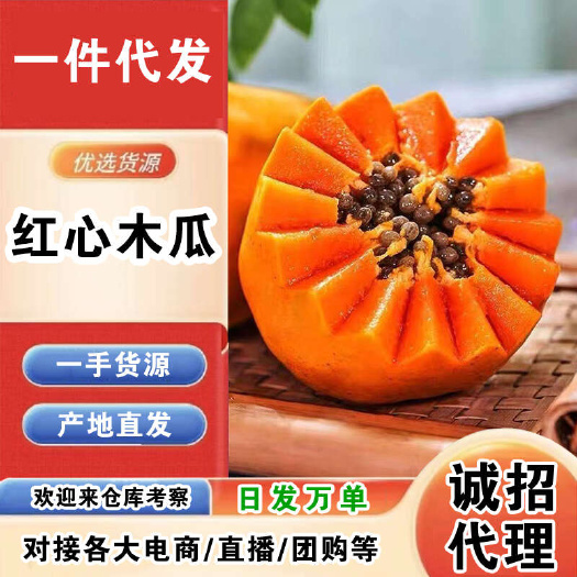 海口海南红心木瓜一件代发产地直发一手货源对接各大电商平台