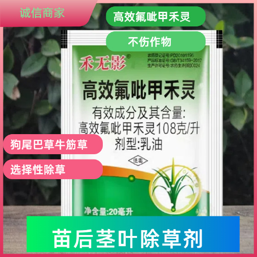南宁高效氟吡甲禾灵高盖大豆花生蔬菜苗木芦苇茅牛筋草马唐专用助剂