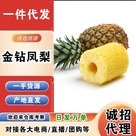 海口海南金钻凤梨一件代发产地直发一手货源对接各大电商平台