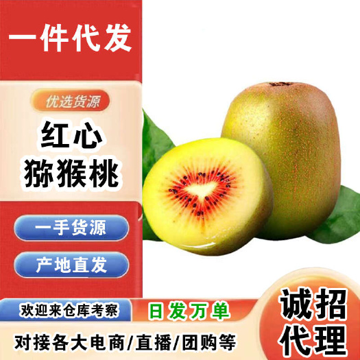 蒲江红心猕猴桃一件代发产地直发一手货源对接各大电商平台