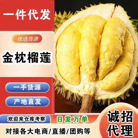 昆明泰国金枕榴莲一件代发产地直发一手货源对接各大电商平台