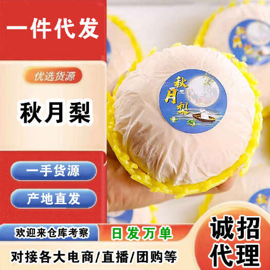莱阳市山东莱阳秋月梨一件代发产地直发一手货源对接各大电商平台
