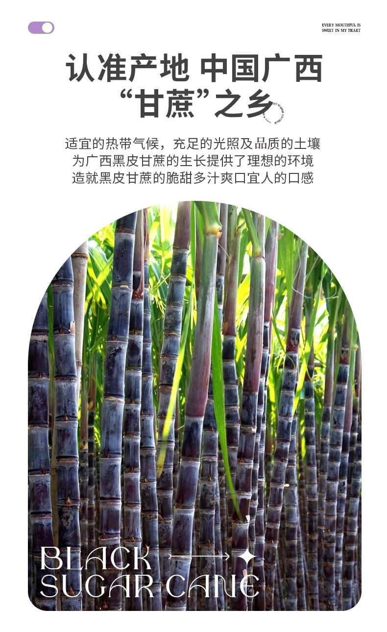 广西黑皮甘蔗5斤/9斤装送削皮刀一件代发