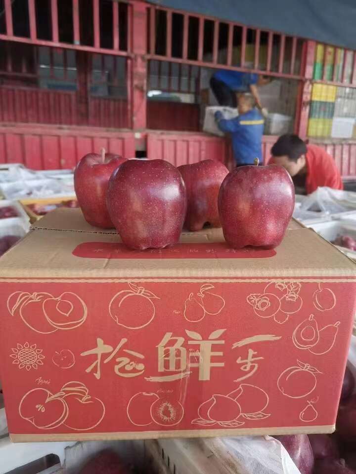 甘肃天水花牛苹果一件代发产地直发一手货源对接各大电商平台