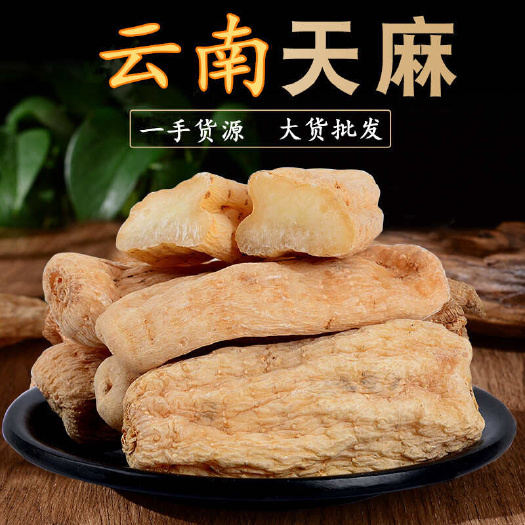 平南县天麻黄天麻，大个头品质好欢迎老板选购
