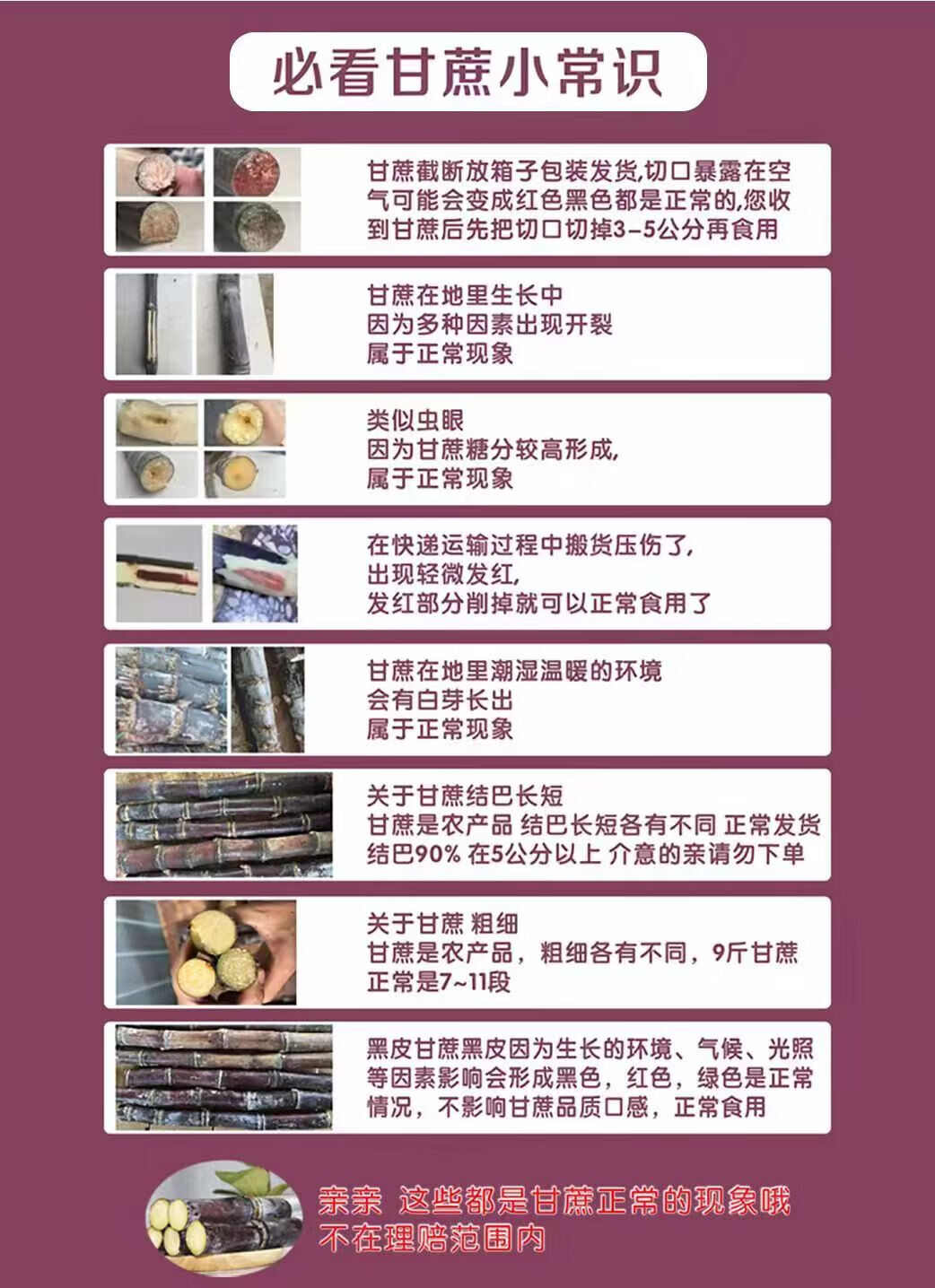 广西黑皮甘蔗5斤/9斤装送削皮刀一件代发