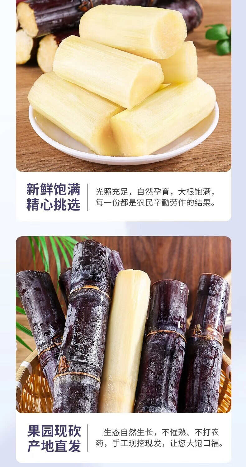 广西黑皮甘蔗5斤/9斤装送削皮刀一件代发