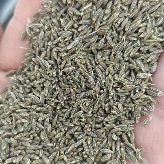 乌鲁木齐孜然颗粒新疆特产头茬散装新货颗粒半颗粒孜然粉包邮批发