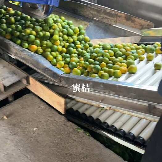澧县湖南复兴镇