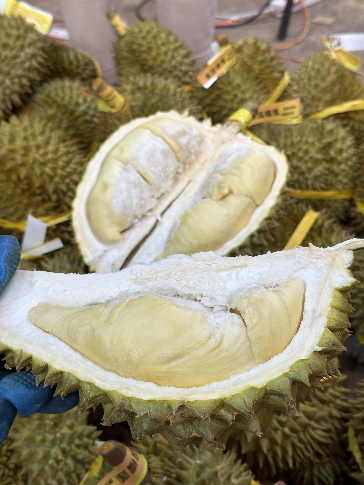 泰国金枕榴莲一件代发产地直发一手货源对接各大电商平台