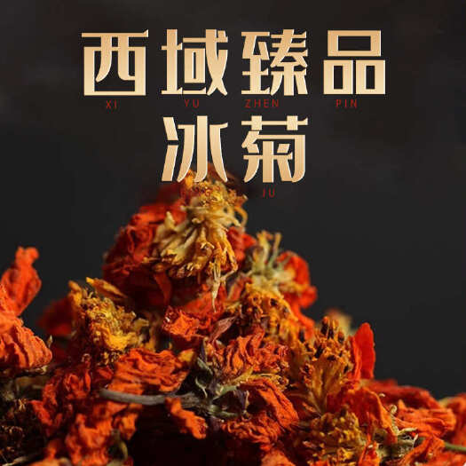 冰菊帕米尔高原雪域冰菊西域天山冰菊新疆火菊红菊昆仑山菊花冰菊