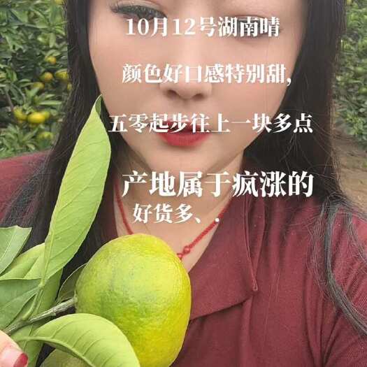澧县湖南高山蜜桔