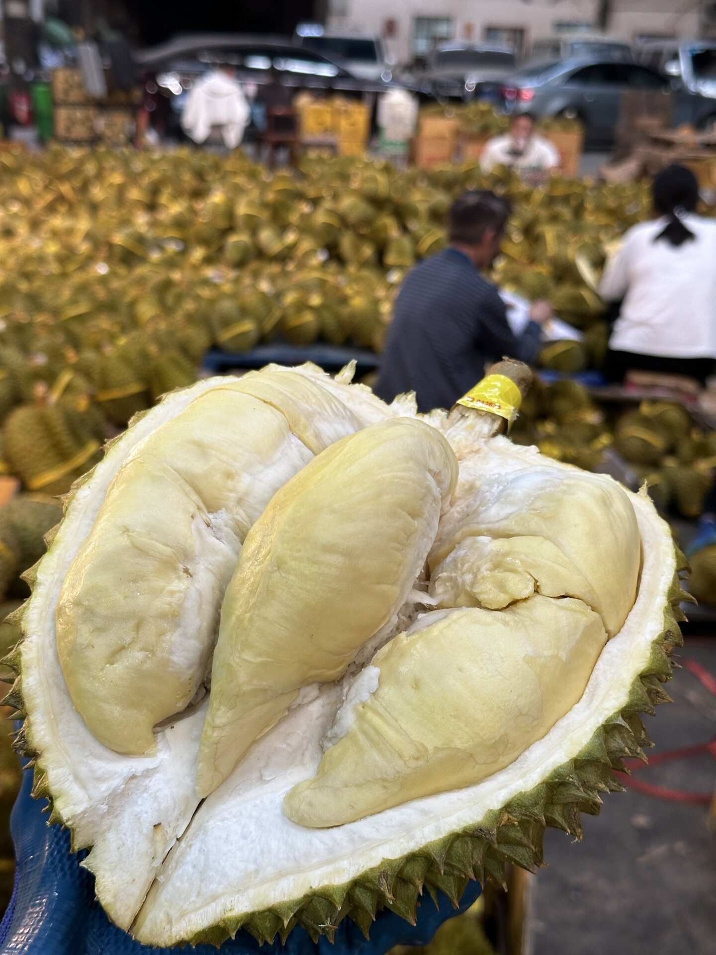 泰国金枕榴莲一件代发产地直发一手货源对接各大电商平台