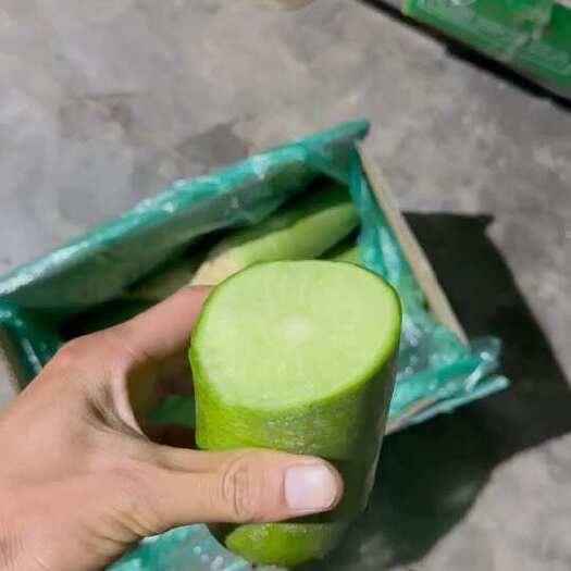潍坊正宗潍县水果萝卜