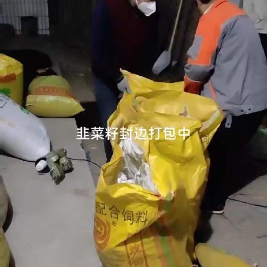 宁津县韭菜籽