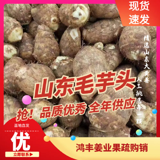 8520毛芋头 万亩种植基地 产地发货 一手货源 全国发货