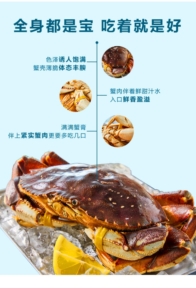 【一手货源】珍宝蟹生冻太子蟹黄金蟹餐饮合作现货