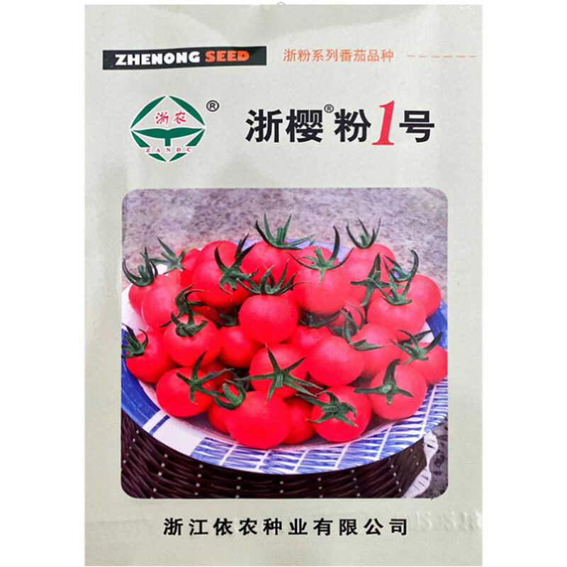 浙樱粉1号樱桃番茄浙樱粉口感小番茄贝贝小番茄高产抗病口感好