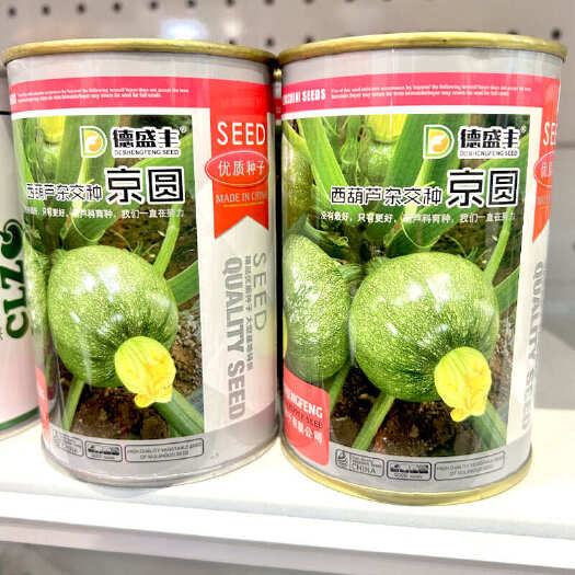 济南京圆西葫芦种子早熟杂交种子南瓜圆西葫芦种子抗病大田四季易种