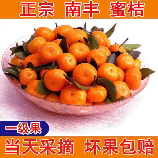 南丰县江西南丰小贡桔皮薄汁多香甜可口现摘现发品控严格