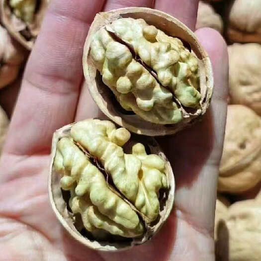 薄皮核桃新疆185纸皮干果散装新货无加工原味饱满核桃包邮批发