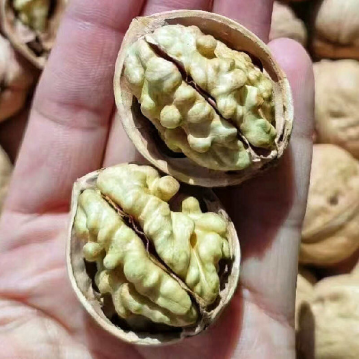 乌鲁木齐薄皮核桃新疆185纸皮干果散装新货无加工原味饱满核桃包邮批发