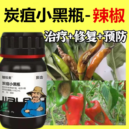 寿光市炭疽病小黑瓶用药辣椒苹果西瓜炭疽病草莓西红柿农用无抗性杀菌剂