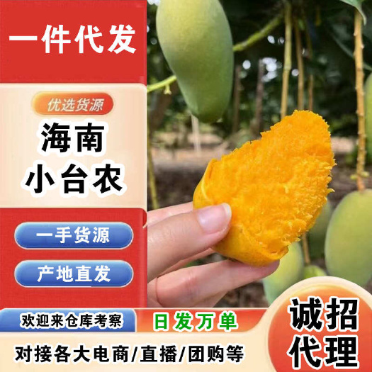 海南小台农一件代发产地直发一手货源对接各大电商平台