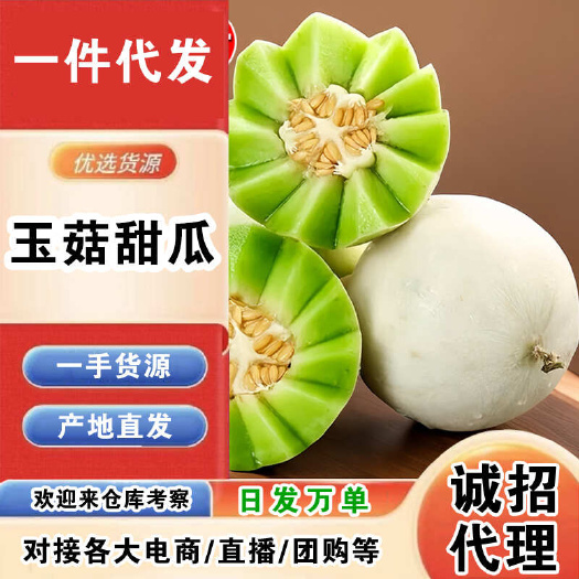 山东玉菇甜瓜一件代发产地直发一手货源对接各大电商平台