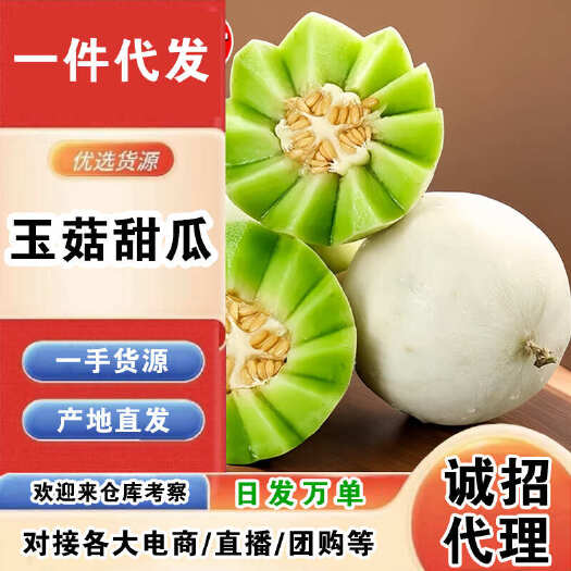 莘县山东玉菇甜瓜一件代发产地直发一手货源对接各大电商平台