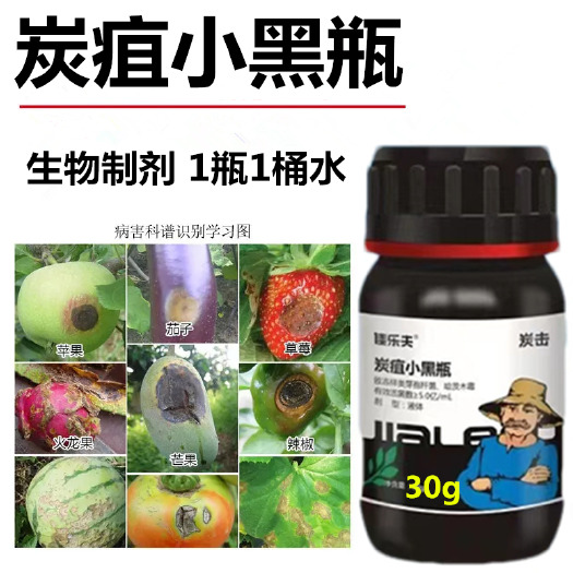 寿光市炭疽病用药蔬菜辣椒柑桔草莓芒果火龙果西红柿炭疽病小黑瓶杀菌剂
