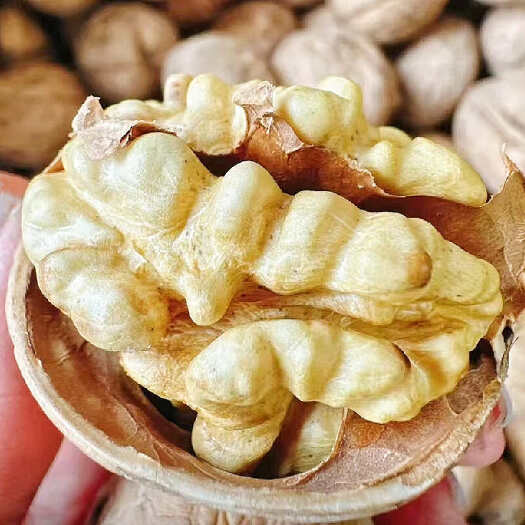 乌鲁木齐纸皮核桃新疆阿克苏185薄皮核桃24年新货散装干果包邮批发