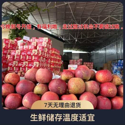 盐源县丑苹果