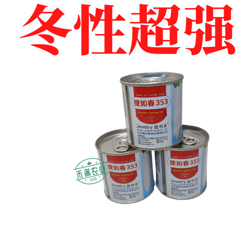 耐寒越冬花叶萝卜种子白萝卜种大型蔬菜用种捷如春353捷利亚高