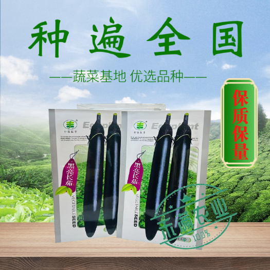 黑亮长茄种籽早熟茄子种子中农长丰茄子种孑亩产万斤四季蔬菜种子