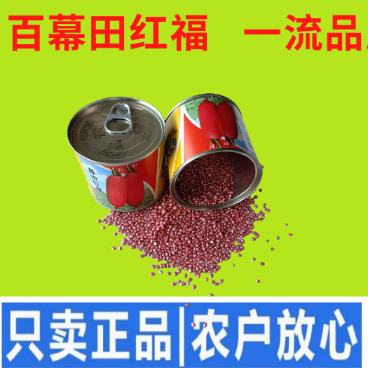 武汉【百幕田种业】萝卜种籽大全红福萝卜种子春紫萝卜种子水果萝卜种