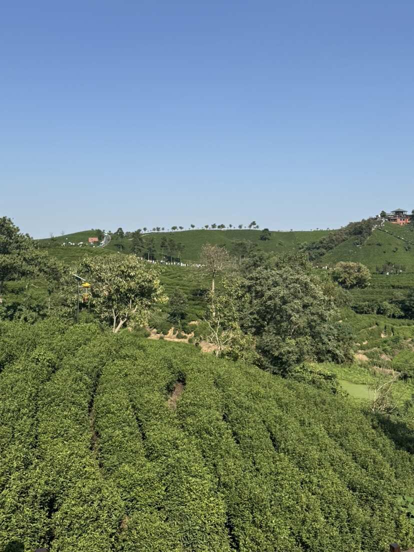 北環(huán)農(nóng)業(yè)直銷