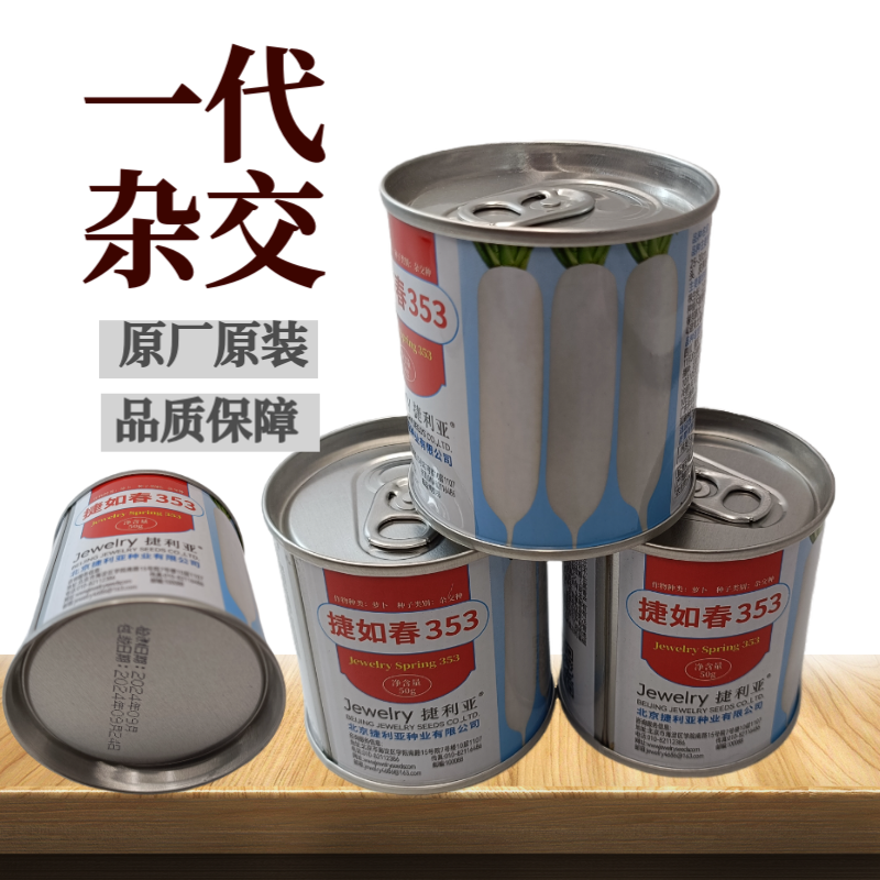 耐寒越冬花叶萝卜种子白萝卜种大型蔬菜用种捷如春353捷利亚高