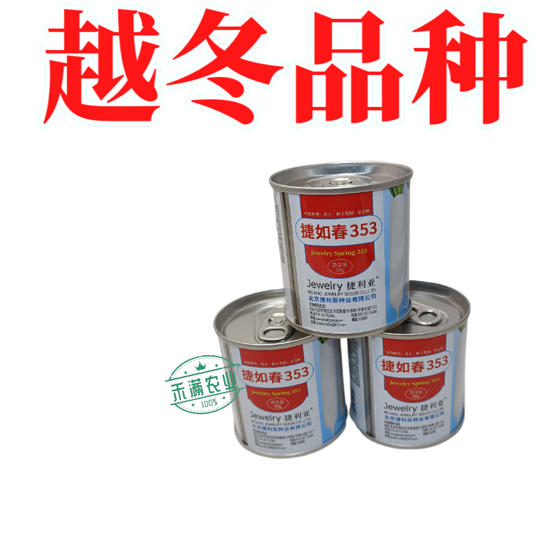 耐寒越冬花叶萝卜种子白萝卜种大型蔬菜用种捷如春353捷利亚高