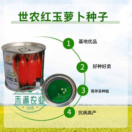 世农高端红玉红萝卜种子红皮白肉萝卜种籽红皮白心萝卜种子