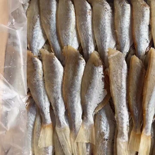 佛山剥皮鱼干 地摊 电商 批发 中目肉大目肉鱼干 干鱼 扒皮鱼干