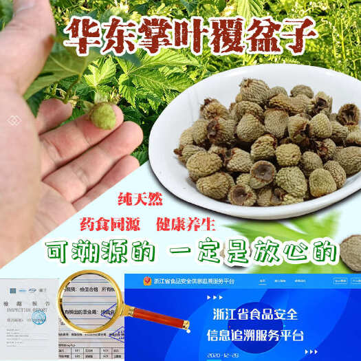 临海市出口级精选中药材原材料大果掌叶覆盆子无硫熏无提取无发霉