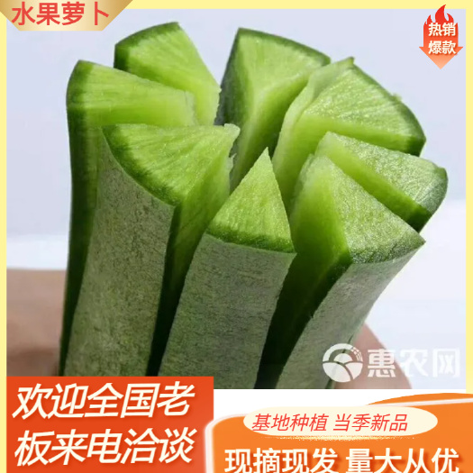 潍坊潍坊水果萝卜  潍县青萝卜，冰激凌水果萝卜，人工免费产地直销