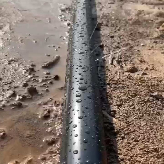 济南农业灌溉微喷带滴灌喷灌塑料软管浇地节水灌溉喷水带自动浇水器