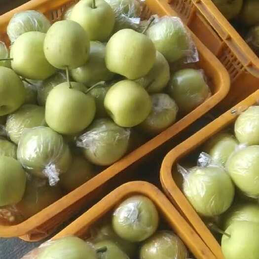 泊头市河北泊头皇冠梨