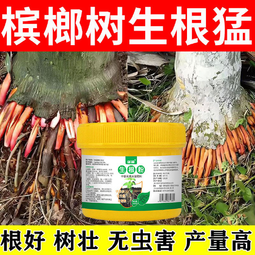 栾川县爆发生根】槟榔快速生根剂海南槟榔生根粉槟榔发根壮苗防根腐烂根